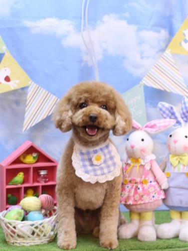 20240331コアくん